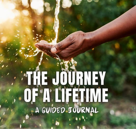 The Journey  of a Lifetime - Guided Journal